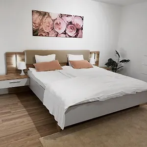 Apartamento Eine Schoene Im Herzen Von Basel.